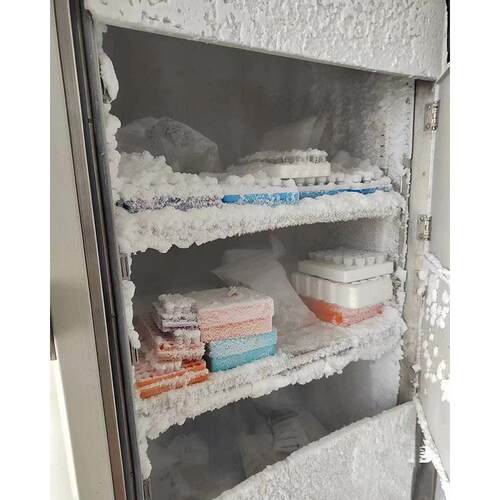 2025新款超低温冰箱冷冻箱超低温工业冰箱-40℃低温实验箱0016