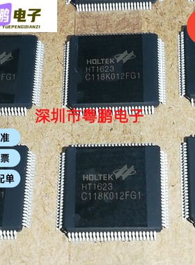 HT1623 LQFP-100 LCD液晶驱动芯片 驱动IC HT