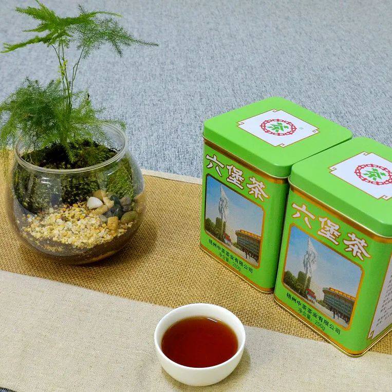 中茶六堡茶老八中绿罐2019版一级2012年陈陈香高扬果香250g