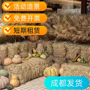 草垛草墩草堆婚庆拍摄道具 干稻草 圆形草垛方形草垛凳子场景布置