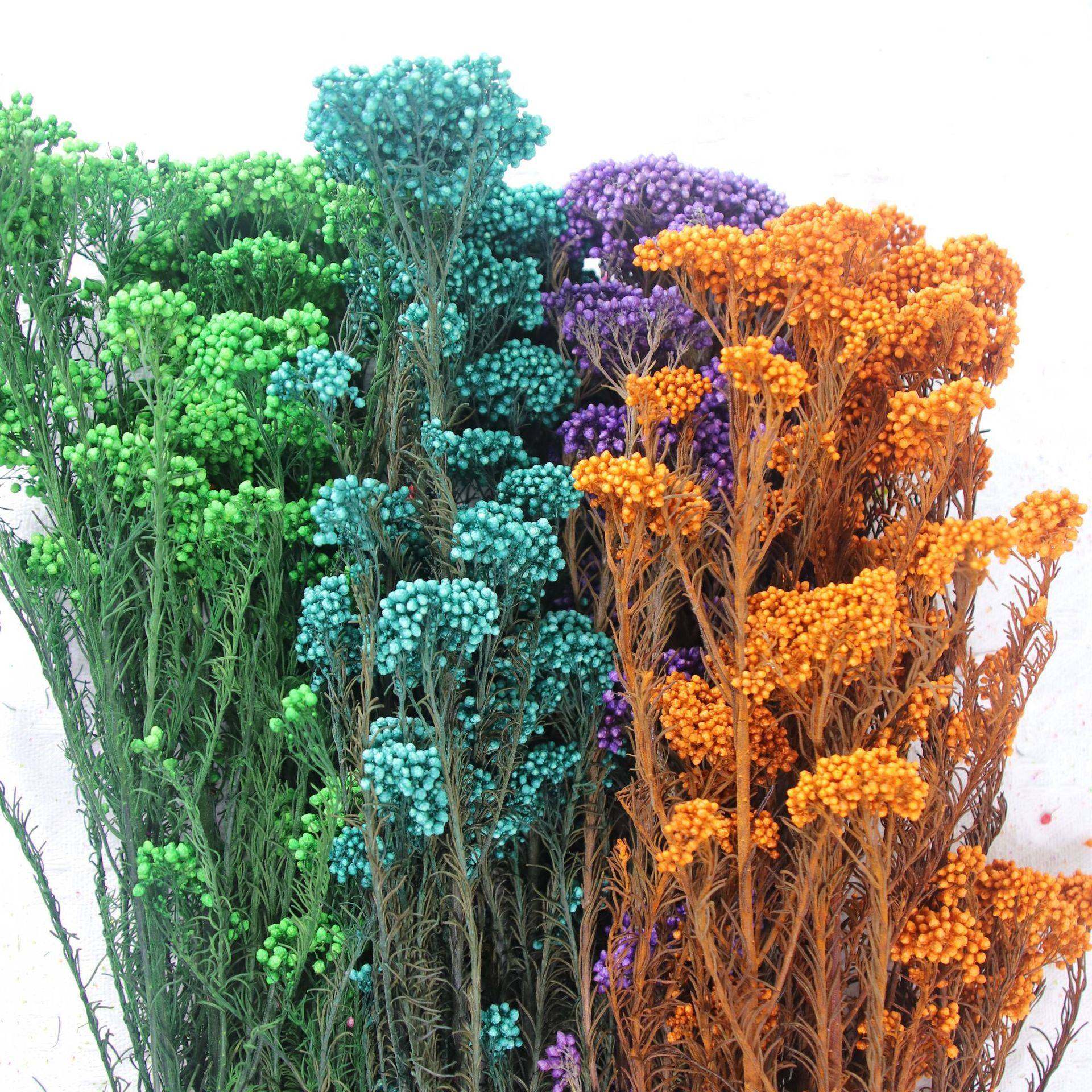 小米花干花吸色漂色永生花保鲜diy花材料装饰配花圣诞节配材工厂