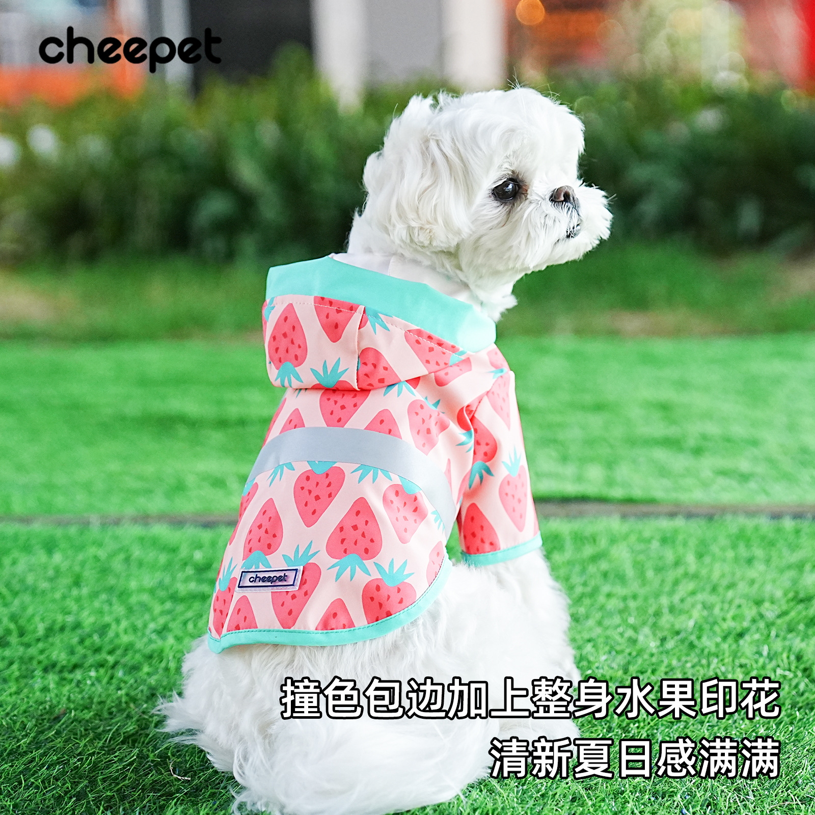 小狗衣服夏季印花水果宠物服饰小型犬防水薄款可爱狗狗雨衣
