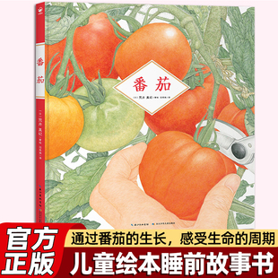 番茄自然科普绘本精装硬壳儿童绘本睡前故事书 亲子阅读故事书小班中班绘本3-6岁宝宝精装绘本蔬菜的由来番茄植物绘本