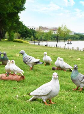 户外园林小品雕塑鸽子仿真动物花园摆件树脂工艺品别墅庭院装饰品