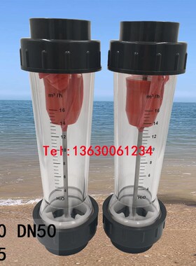 余姚远大PVCg转子流量计LZS-DN40 50 65浮子液体水直插式污水处理