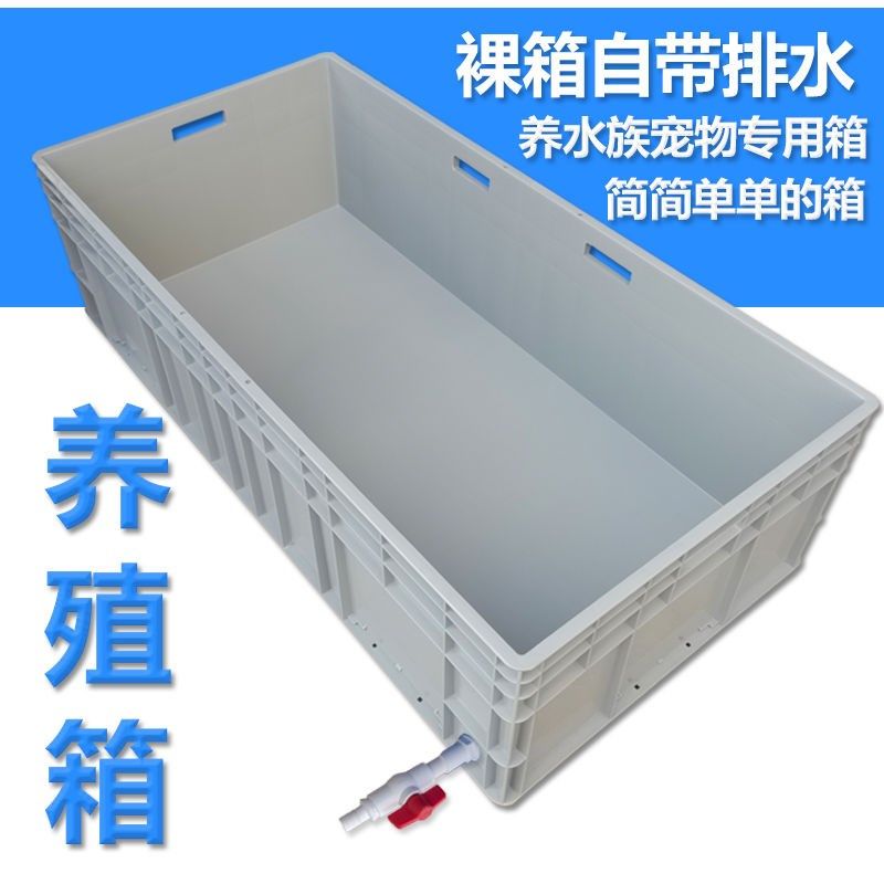 大号龟箱b养殖箱乌龟缸工业箱水族箱周转箱收纳箱鱼缸巴西龟专用,宠物/宠物食品及用品,桌面缸,淘宝优惠券,粉丝福利购,淘宝优惠卷