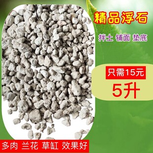 钵底石兰石兰花 轻石浮石 多肉植物盆栽垫底石兰花石土水陆缸草缸