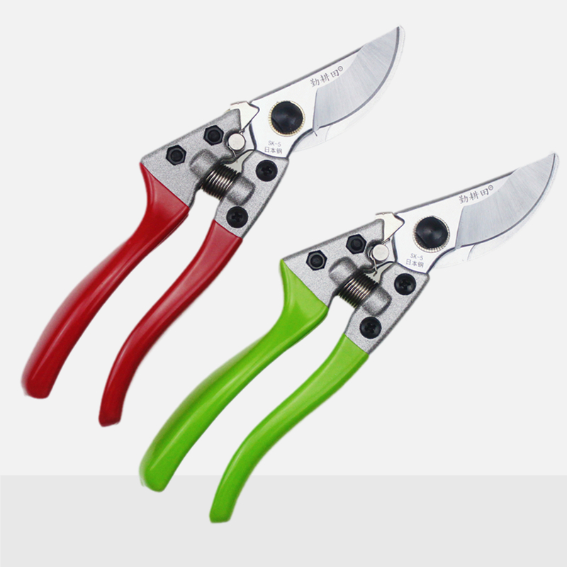 园艺剪刀藤条树枝剪家用省力剪枝剪养花花枝剪爬藤蔓剪果树修枝剪