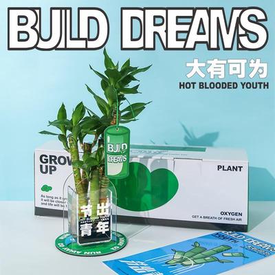 失控绿氧 创意绿植节节高水培富贵竹办公室桌面植物盆栽摆件礼物