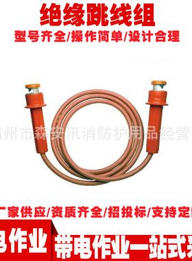 C601-0162绝缘跳线组带电作业临时绝缘跳线组线路维修双头引流线