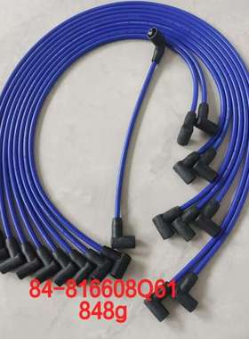 火花塞适合mercruiser v8 thunderbolt delco est re84-816608q61