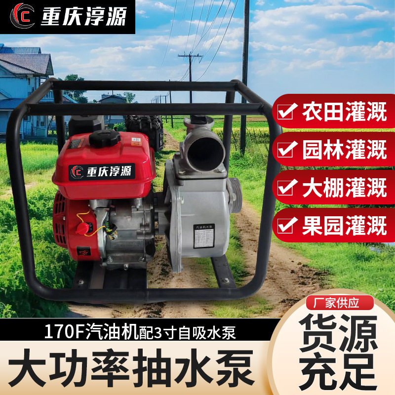 淳源汽油机自吸水泵汽油抽水机农用抽水泵3寸灌溉高压厂家直销消