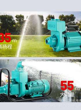 大流量污水自吸泵家用220V离心泵380V2寸3寸灌溉抽水机增压泵井水