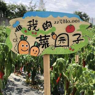 实木菜园插地标识牌户外花园装饰幼儿园班级种植区立牌指示牌定