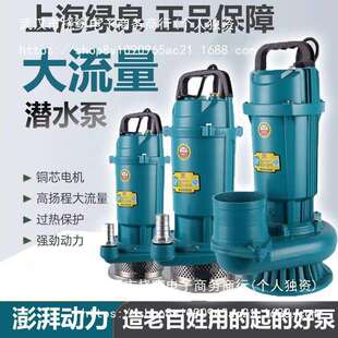 家用220V纯铜水泵农用单相农用灌溉小型潜水泵高扬程大流量抽水机