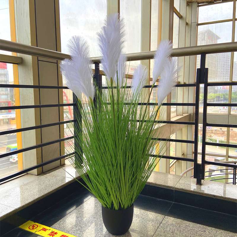 轻奢仿真芦苇盆栽大芦苇9头芦苇洋葱草婚庆厨窗拍摄道具装饰摆件
