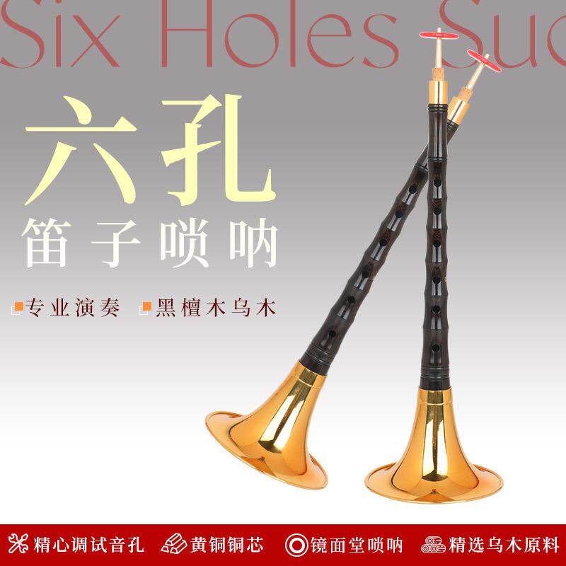 宏艺凤鸣专业黑檀木乌木唢呐6孔笛子全套乌木杆成人儿童初学者
