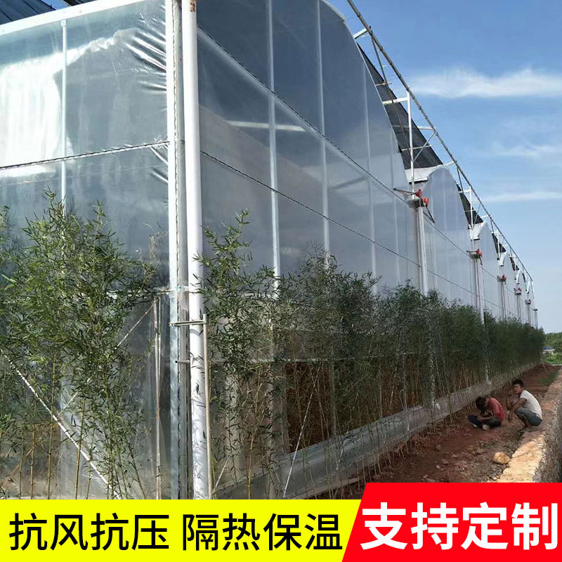 连栋单体大棚日光温室草莓养殖育苗棚连栋钢架骨架养殖大棚定 制