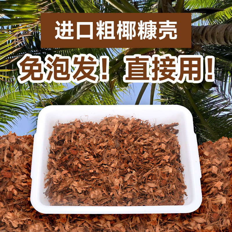 批发进口斯里兰卡椰糠椰壳砖粗椰块养花种菜土粗椰壳大块通用椰砖