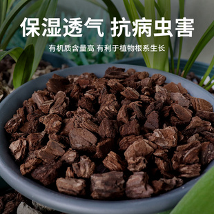 仙兔松树b皮发酵腐熟松磷兰花专用蝴蝶兰君子兰覆盖物石斛垫材铺