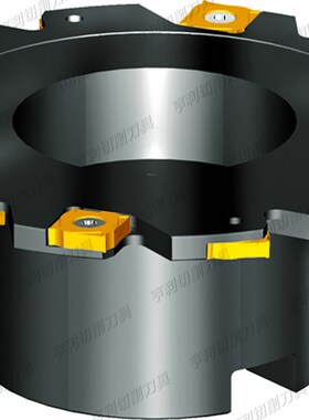 株洲可转位三面刃铣削刀盘SsMP01-125*8-B32-SN12-12