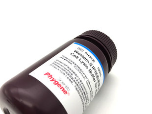 PH0406 100mL PYHYGENE 含PMSF Western及IP细胞裂解液