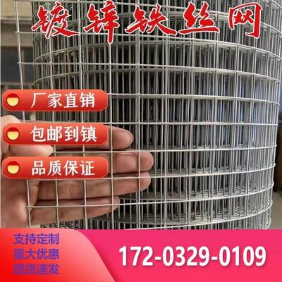 热防锈镀锌钢丝网拦鸡网阳台防猫网果园菜园围网小网格防鼠蛇鸟网