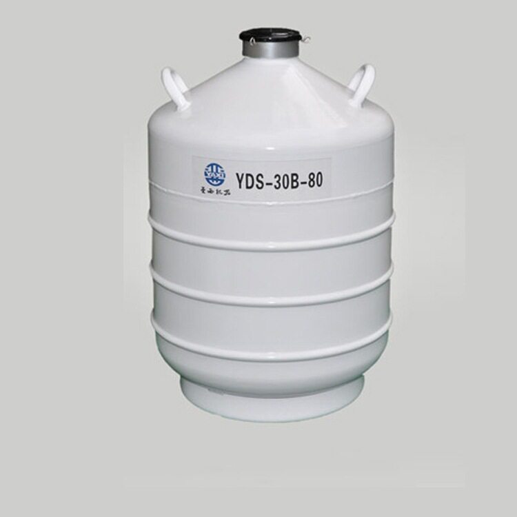 高品质厂家直销YDS-30B-80四川亚西液氮容器贮存系列压力容器
