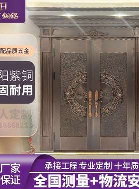直销铜门豪华别墅大门纯铜双开门子母进户门农村非标门防盗门