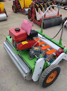 手推式蔬菜播种机白菜菠菜香菜点播机韭菜芹菜精播机