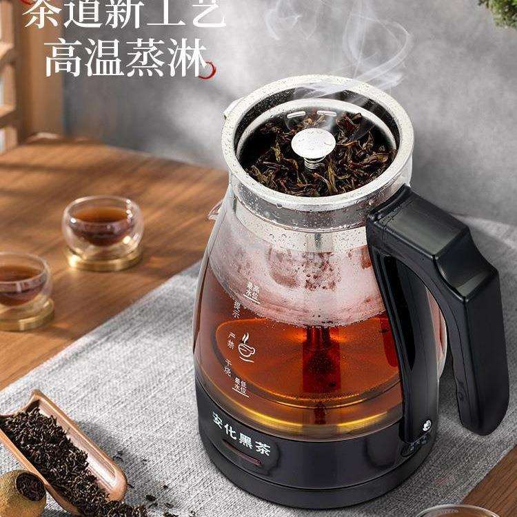 安化黑茶煮茶器蒸汽蒸茶壶家用电热烧水壶小型办公室喷淋式蒸茶壶