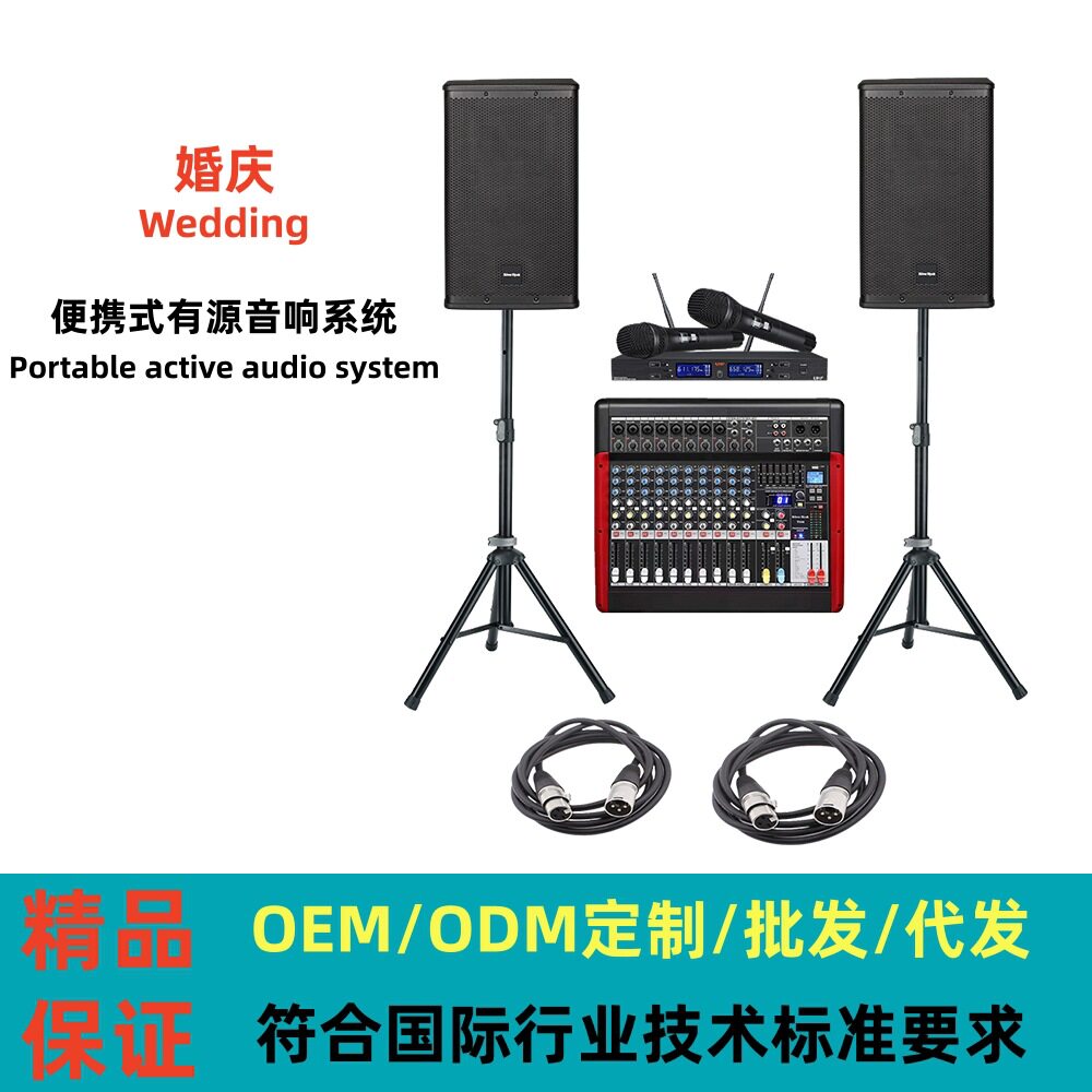 便携式舞台专业音响套装婚庆户外演出会议演讲有源音响设备全套