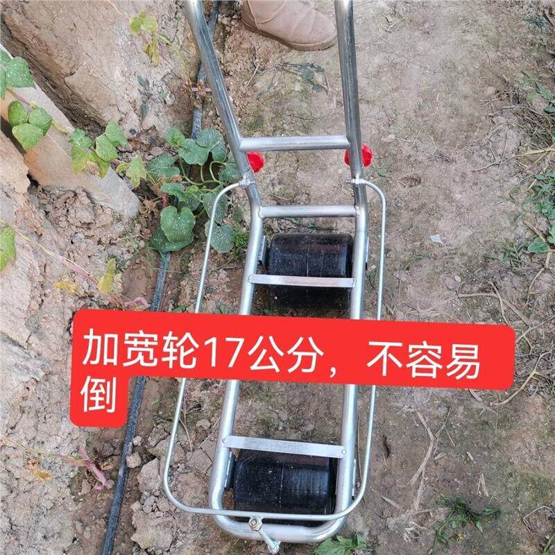 大棚蔬菜瓜果移动采摘车加宽黄瓜西红柿运输手推车采摘工具车