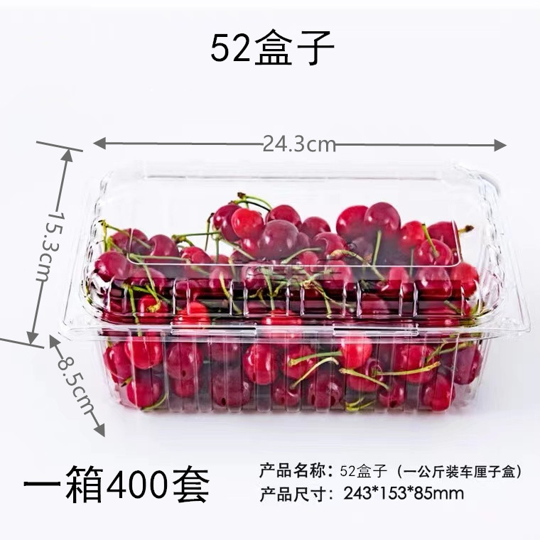 一次性加厚抗压带盖水果蔬菜盒