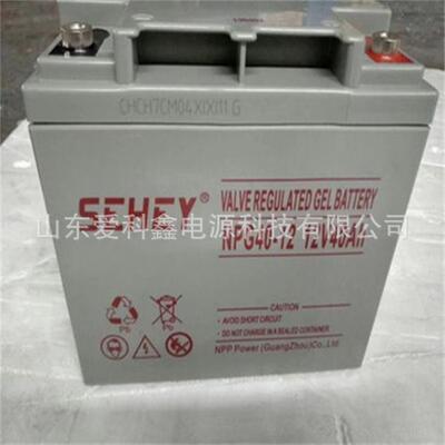 西力SEHEY蓄电池NPG40-1212V40AH太阳能光伏发电免维护储能电瓶