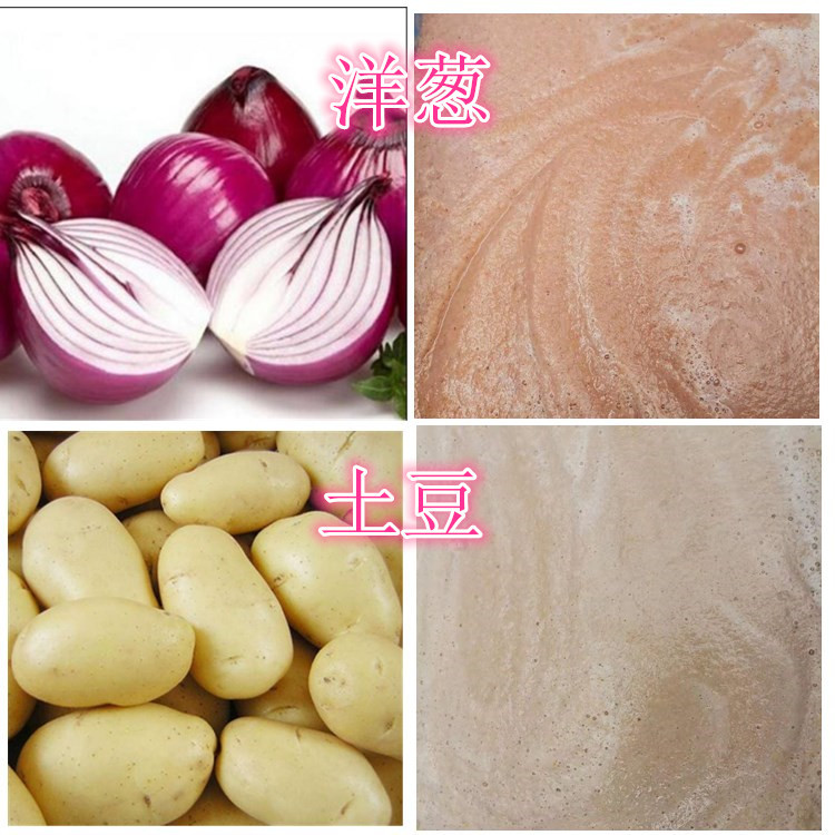 不锈钢商用果蔬打浆破碎机