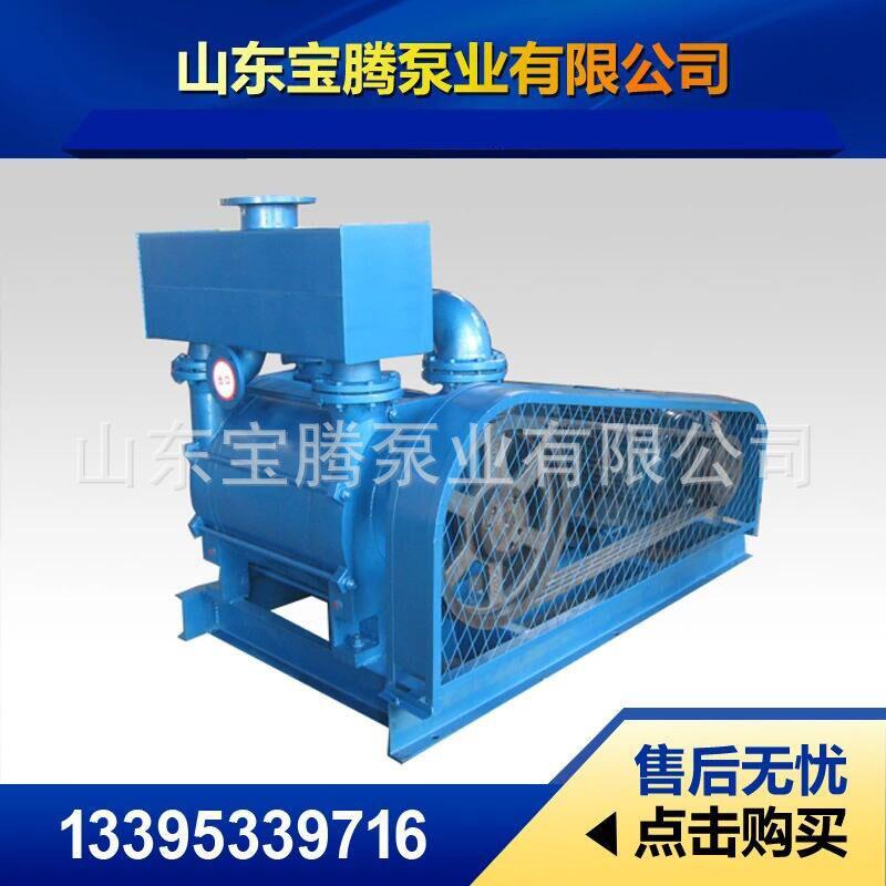 真空泵2BE水环式真空泵造纸厂用泵