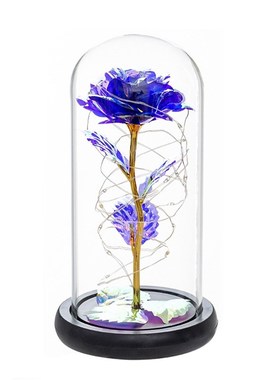 Rose Romantic Gift Preserved Rose FloIwer In Glass Dome, Red