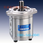 合肥长源液压齿轮泵CBTD-F4t32-AFHL合肥赛源AFPL/ALPL/AFHL