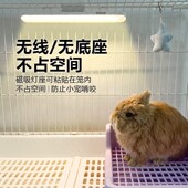 兔笼补光灯f氛围灯兔子专用达洋笼子r81装 饰家用暖光室内光线