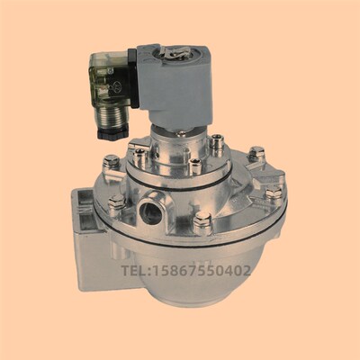 PRETTY GOYEN CA62T010-300 CA6E2T020 CA62T010 2.5寸直角脉冲阀