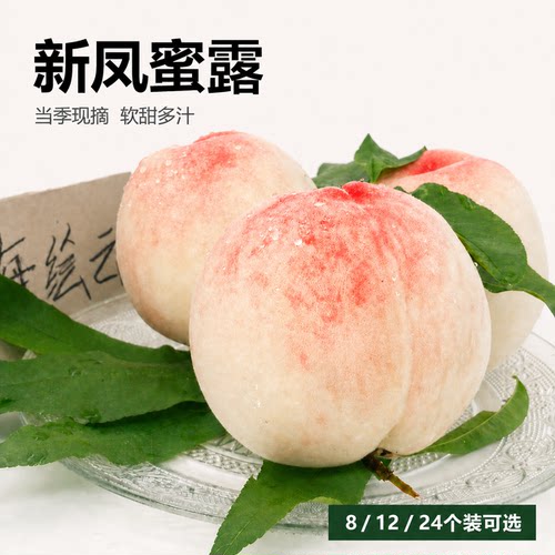 南汇水蜜桃新凤蜜露现摘桃子