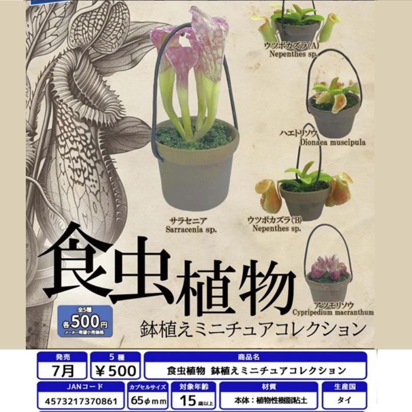 友趣预订扭蛋9 日本正版 RAINBOW 食虫植物 猪笼草 微缩模型
