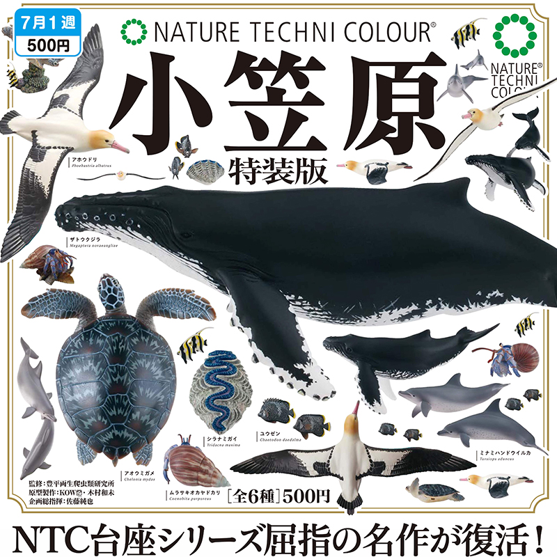 友趣现货正版×日本IKI