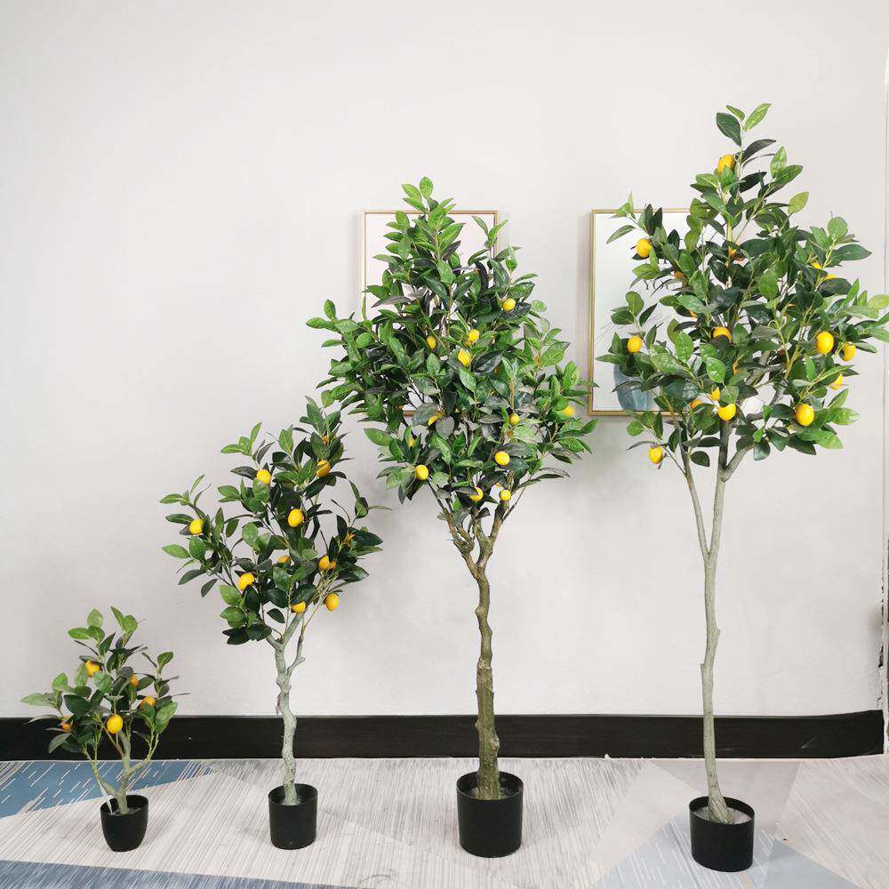 盆栽 子橘树落长枝叶带客厅装饰网sx88741红水果地绿果植摆件