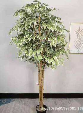 仿真酒白边榕树 假绿植盆栽客厅室白榕盆边景商场HL004店假绿植内