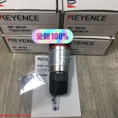 议价拍前议价GP-M250 议价 基恩士 内外码一致