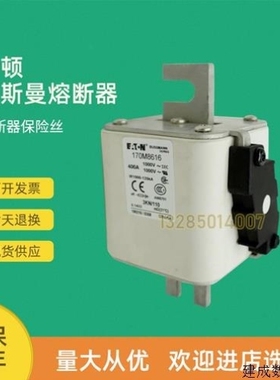 议价议价全新快速熔断器保险170M8615 170M8616 170M8617 170M861
