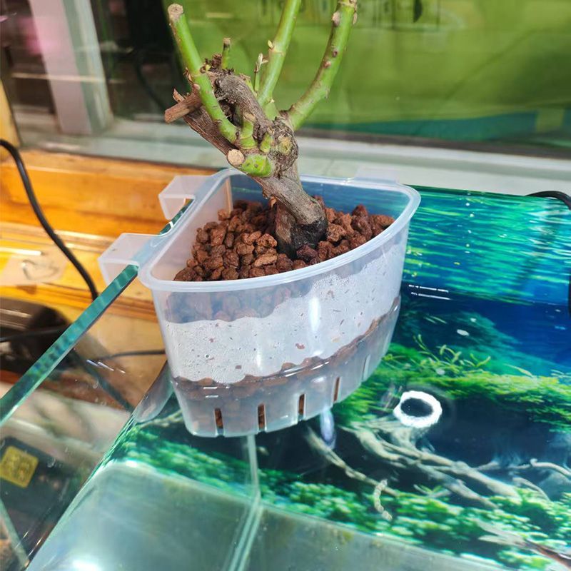 水草定植篮鱼缸造景摆件水族箱植物盆栽专用支撑摆放支架