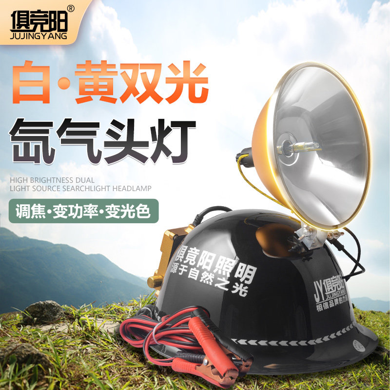 外接双光远射12V电源夜钓鱼灯